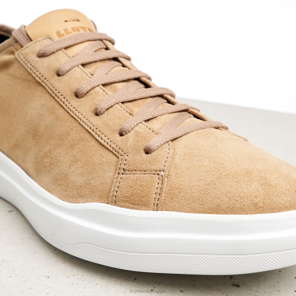 aaro Heren LLOYD bruin schoenen ZJ6BL421