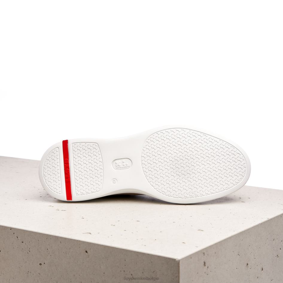 aaro Heren LLOYD bruin schoenen ZJ6BL421