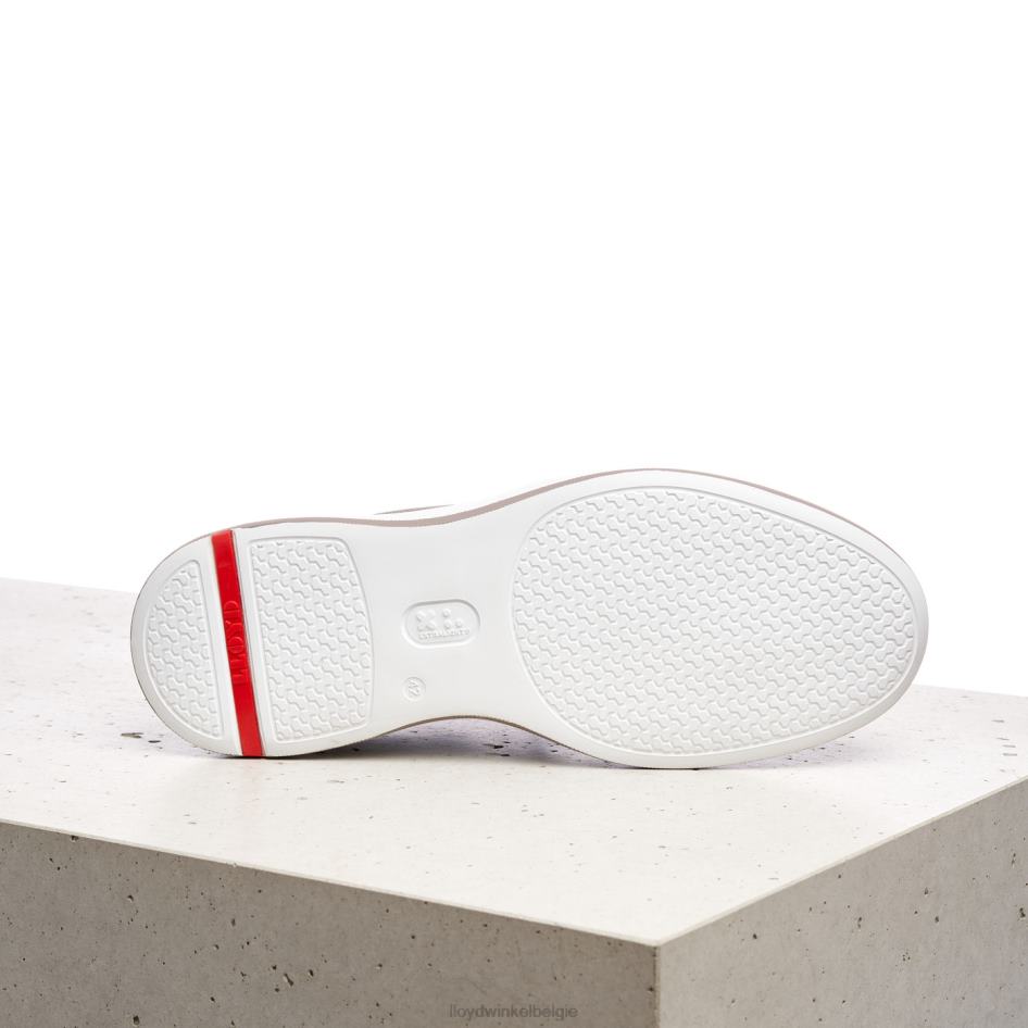 acuta Heren LLOYD grijs schoenen ZJ6BL349