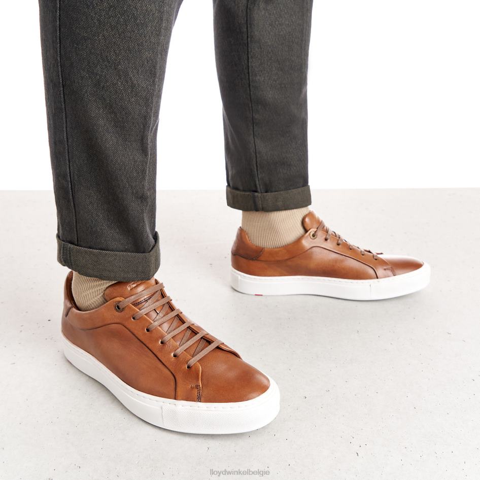 ajan Heren LLOYD bruin schoenen ZJ6BL391