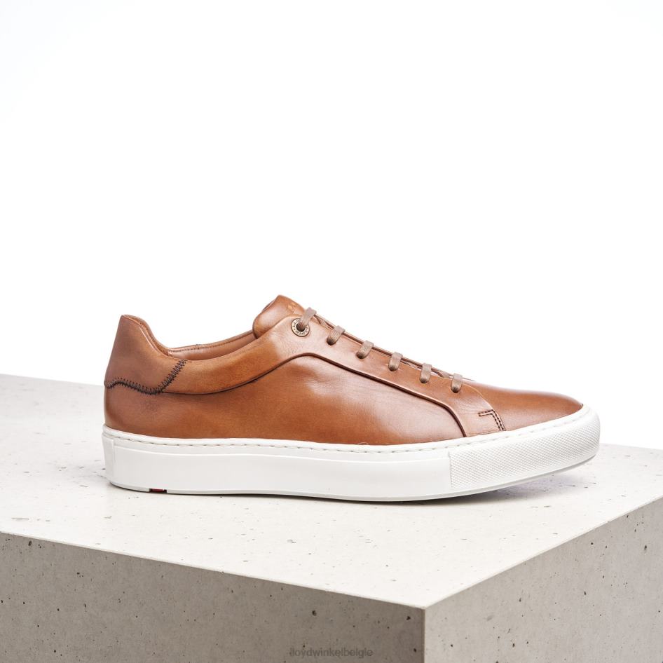 ajan Heren LLOYD bruin schoenen ZJ6BL391