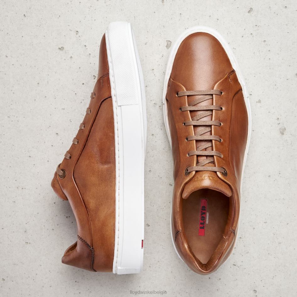 ajan Heren LLOYD bruin schoenen ZJ6BL391