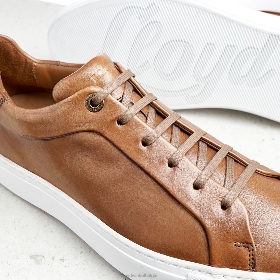 ajan Heren LLOYD bruin schoenen ZJ6BL391