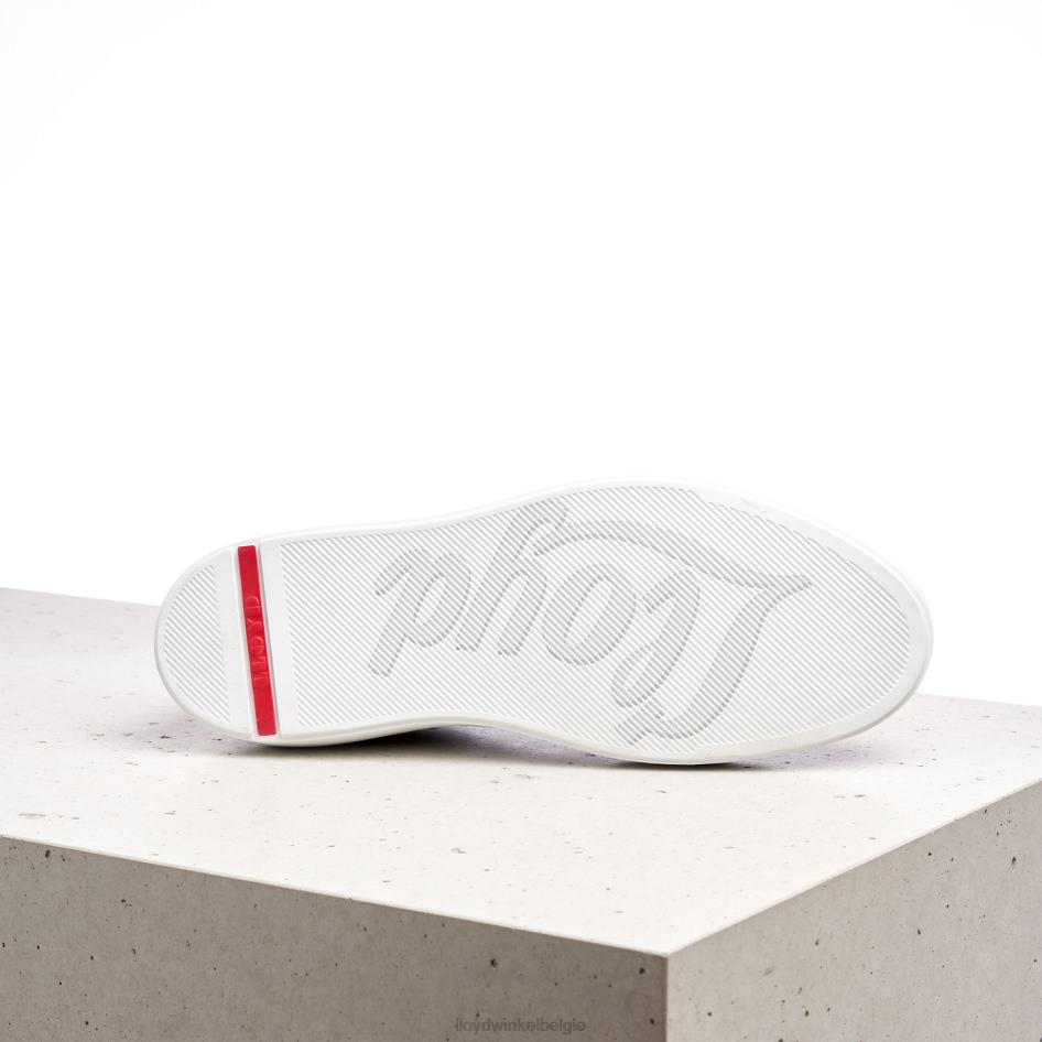 ajan Heren LLOYD bruin schoenen ZJ6BL391