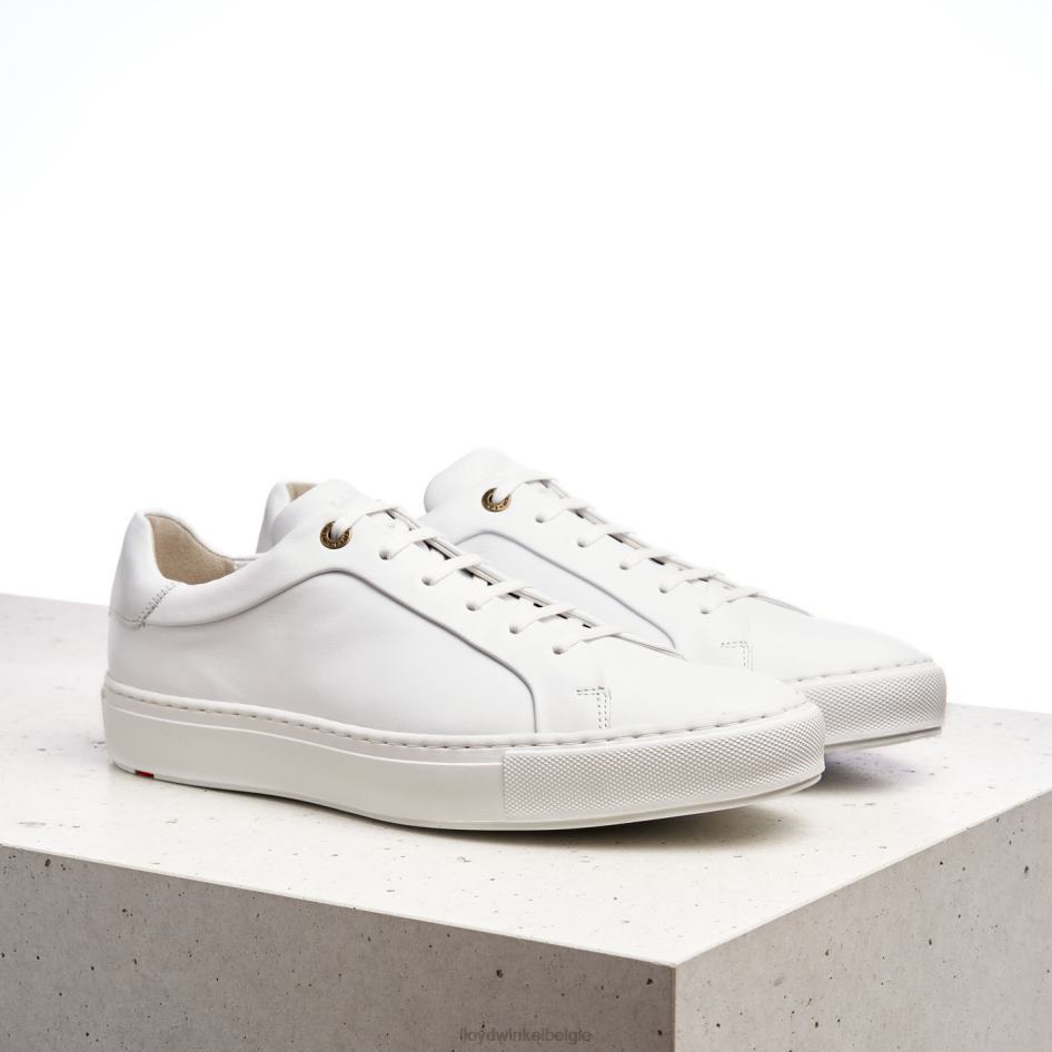 ajan Heren LLOYD wit schoenen ZJ6BL1338