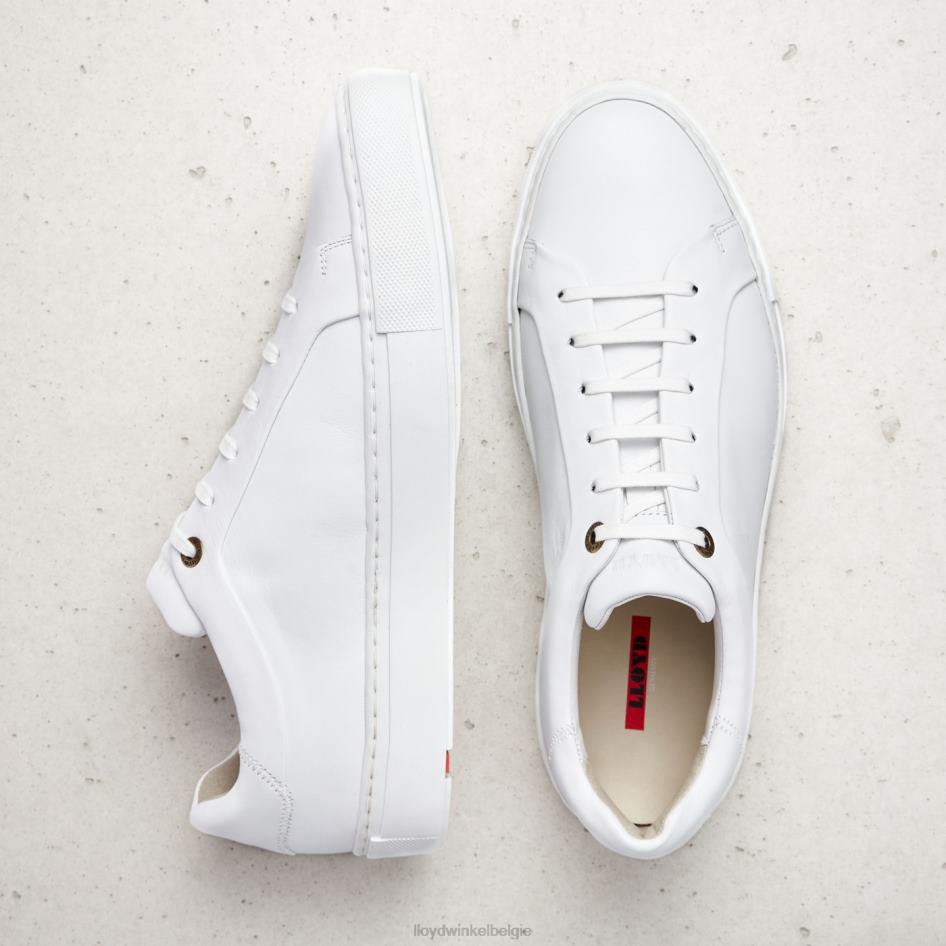 ajan Heren LLOYD wit schoenen ZJ6BL1338