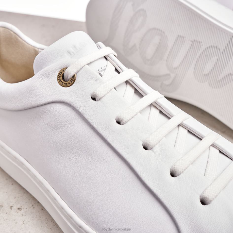 ajan Heren LLOYD wit schoenen ZJ6BL1338