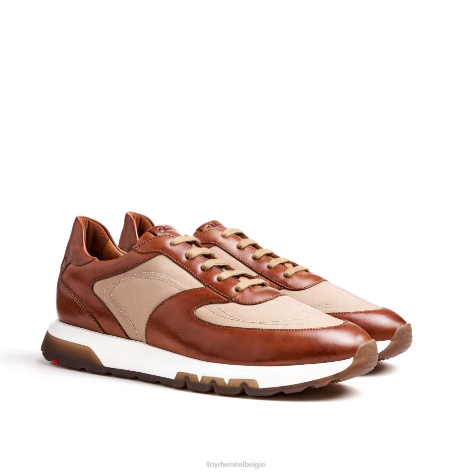 albany Heren LLOYD bruin schoenen ZJ6BL1337