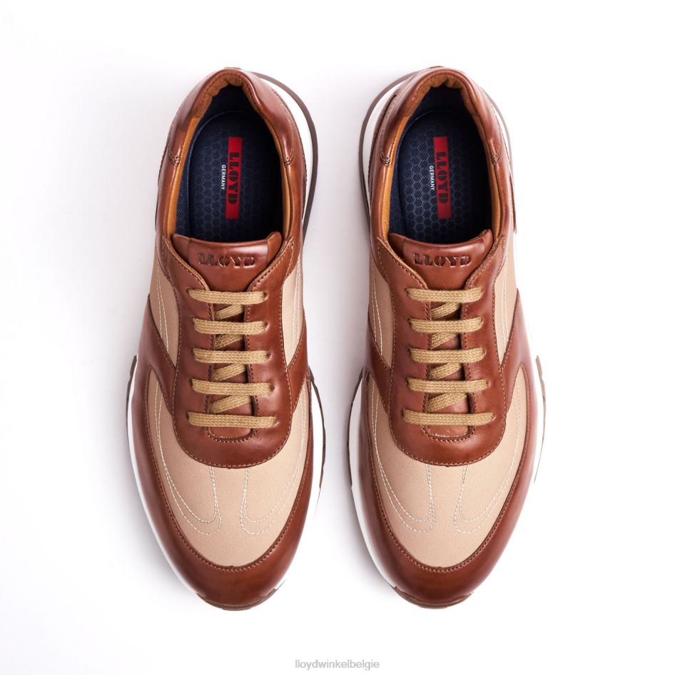 albany Heren LLOYD bruin schoenen ZJ6BL1337