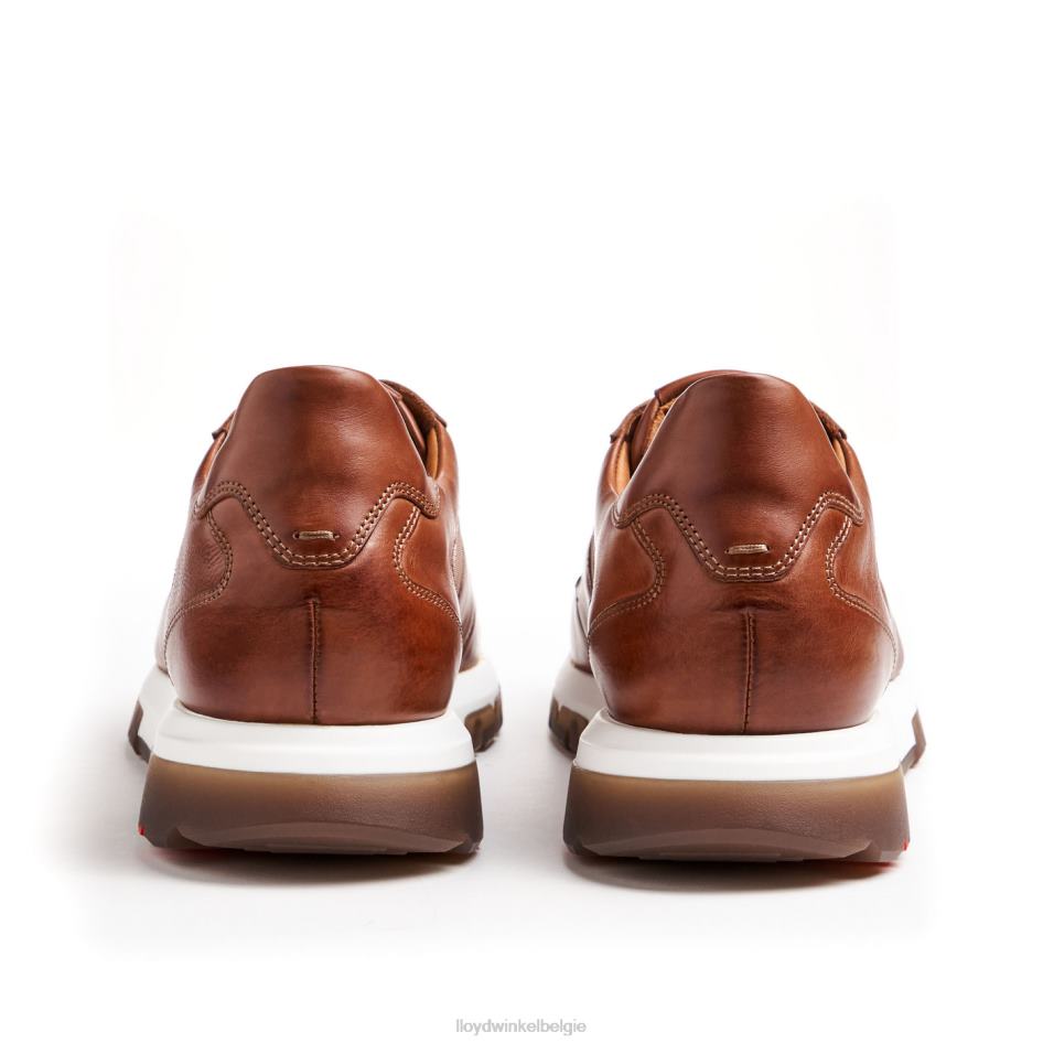 albany Heren LLOYD bruin schoenen ZJ6BL1337