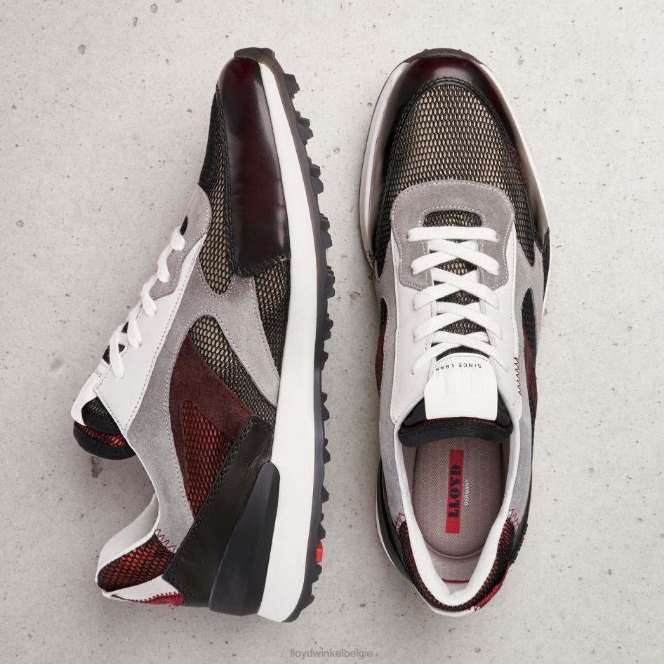 alfa Heren LLOYD gecombineerd schoenen ZJ6BL353