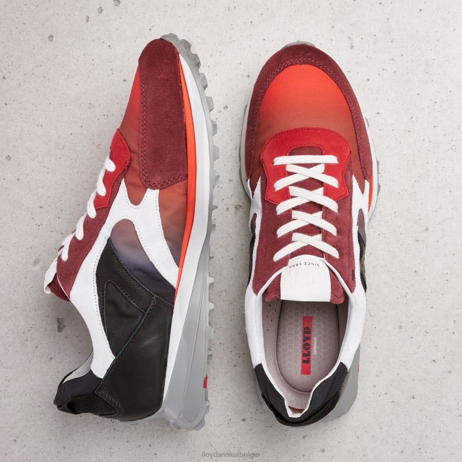 amaro Heren LLOYD rood schoenen ZJ6BL345