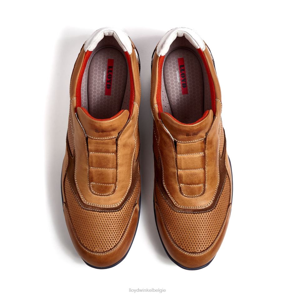 banveld Heren LLOYD bruin schoenen ZJ6BL347
