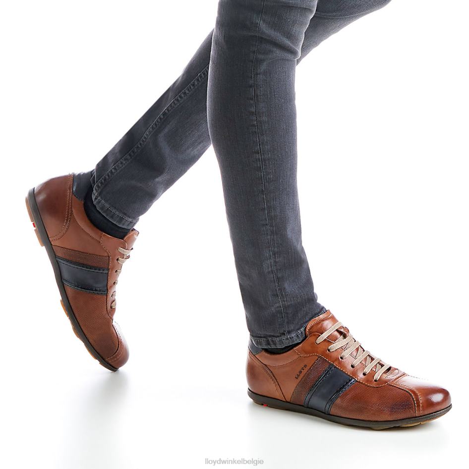 baret Heren LLOYD bruin schoenen ZJ6BL354