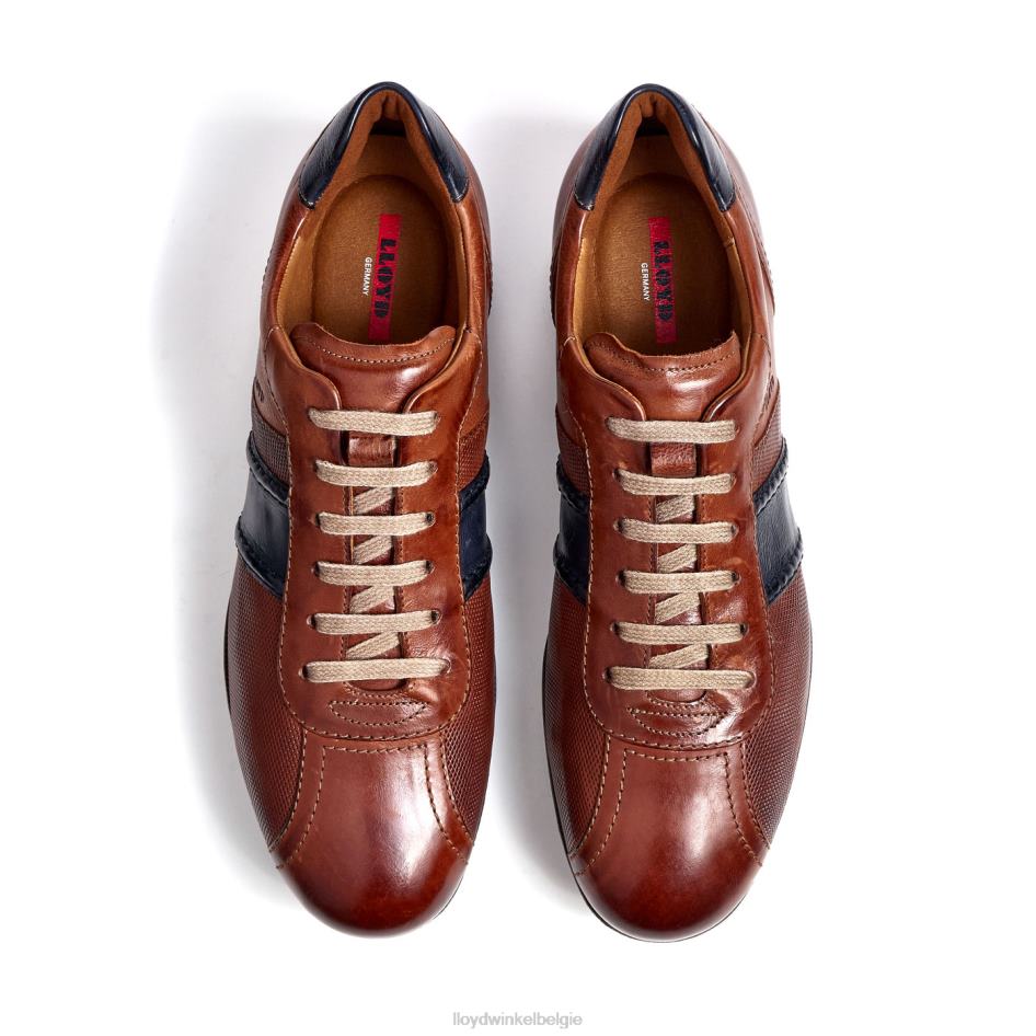 baret Heren LLOYD bruin schoenen ZJ6BL354