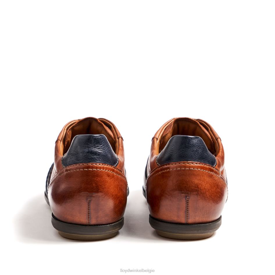 baret Heren LLOYD bruin schoenen ZJ6BL354