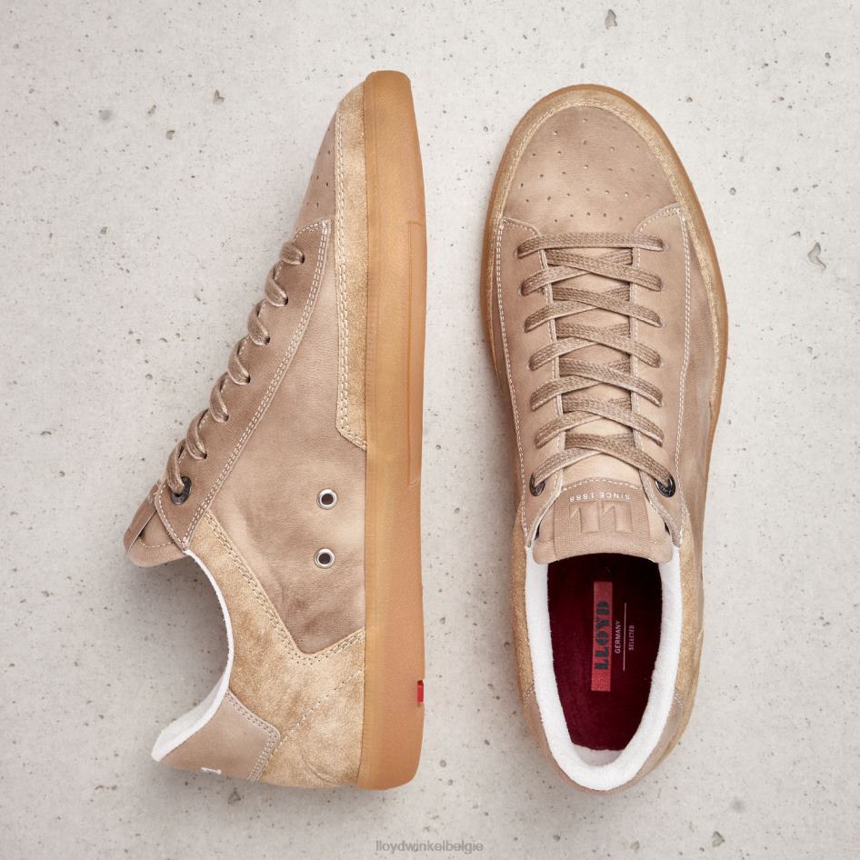 baron Heren LLOYD beige schoenen ZJ6BL441