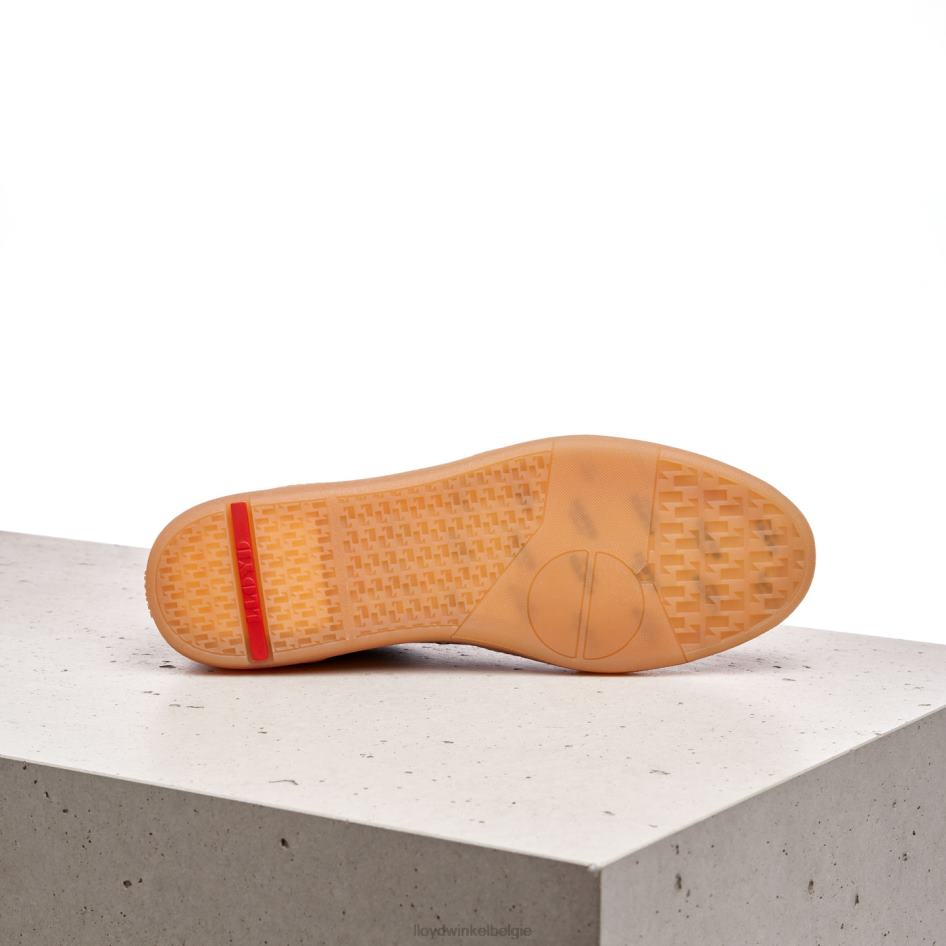 baron Heren LLOYD beige schoenen ZJ6BL441