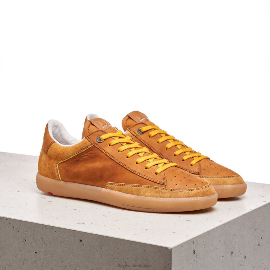 baron Heren LLOYD bruin schoenen ZJ6BL427