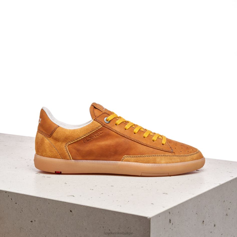 baron Heren LLOYD bruin schoenen ZJ6BL427