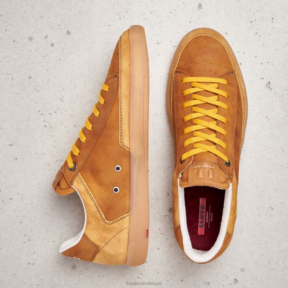 baron Heren LLOYD bruin schoenen ZJ6BL427