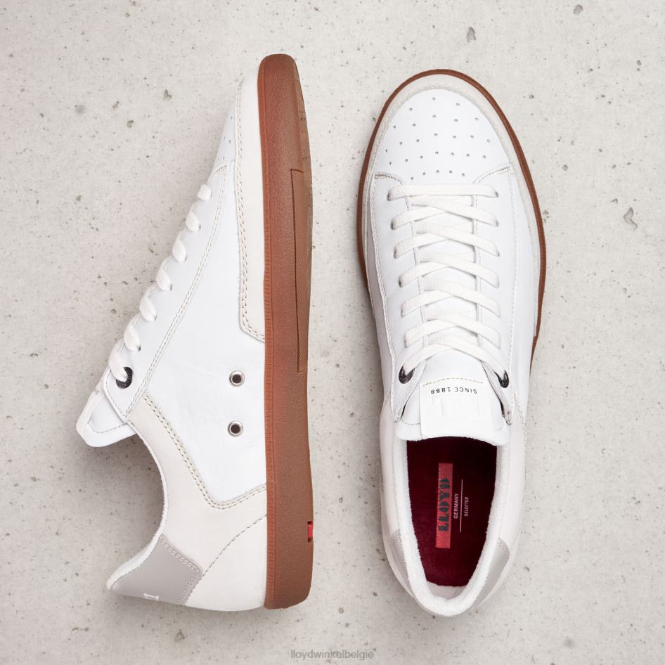 baron Heren LLOYD wit schoenen ZJ6BL389