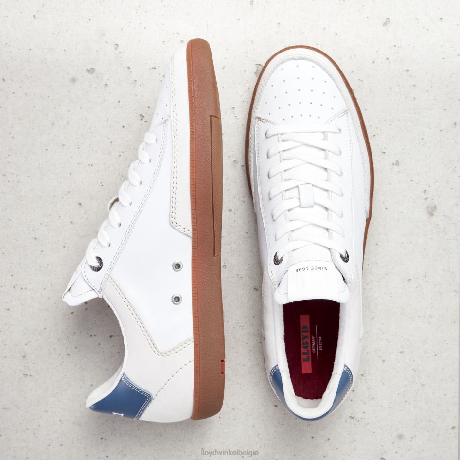 baron Heren LLOYD wit schoenen ZJ6BL390