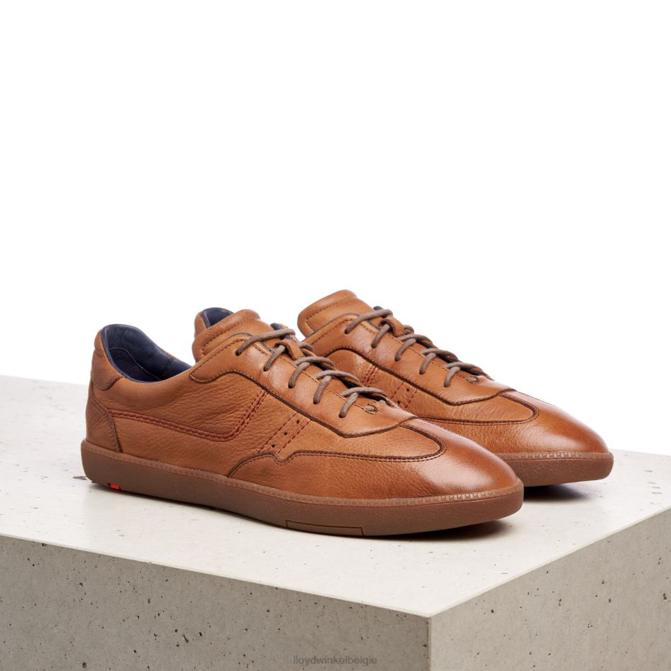 bastiaan Heren LLOYD bruin schoenen ZJ6BL423