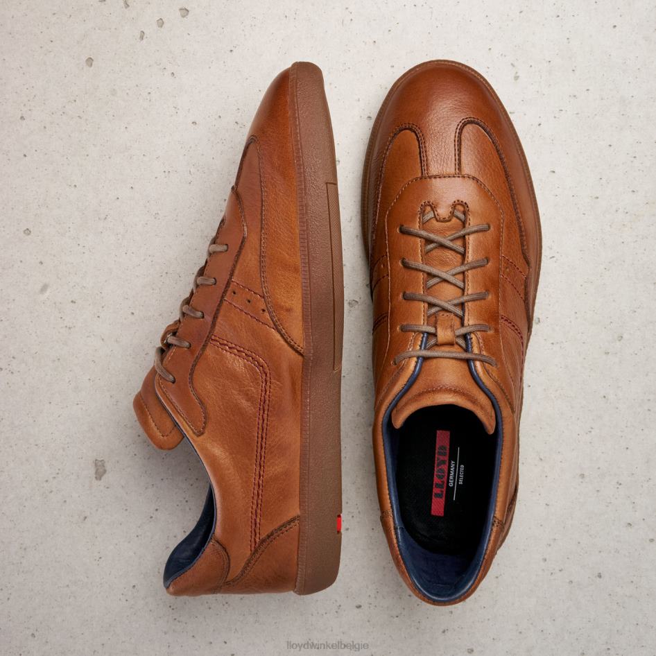 bastiaan Heren LLOYD bruin schoenen ZJ6BL423