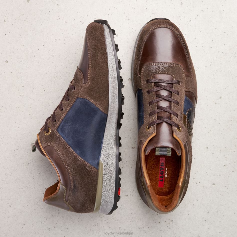 bellingham Heren LLOYD bruin schoenen ZJ6BL377