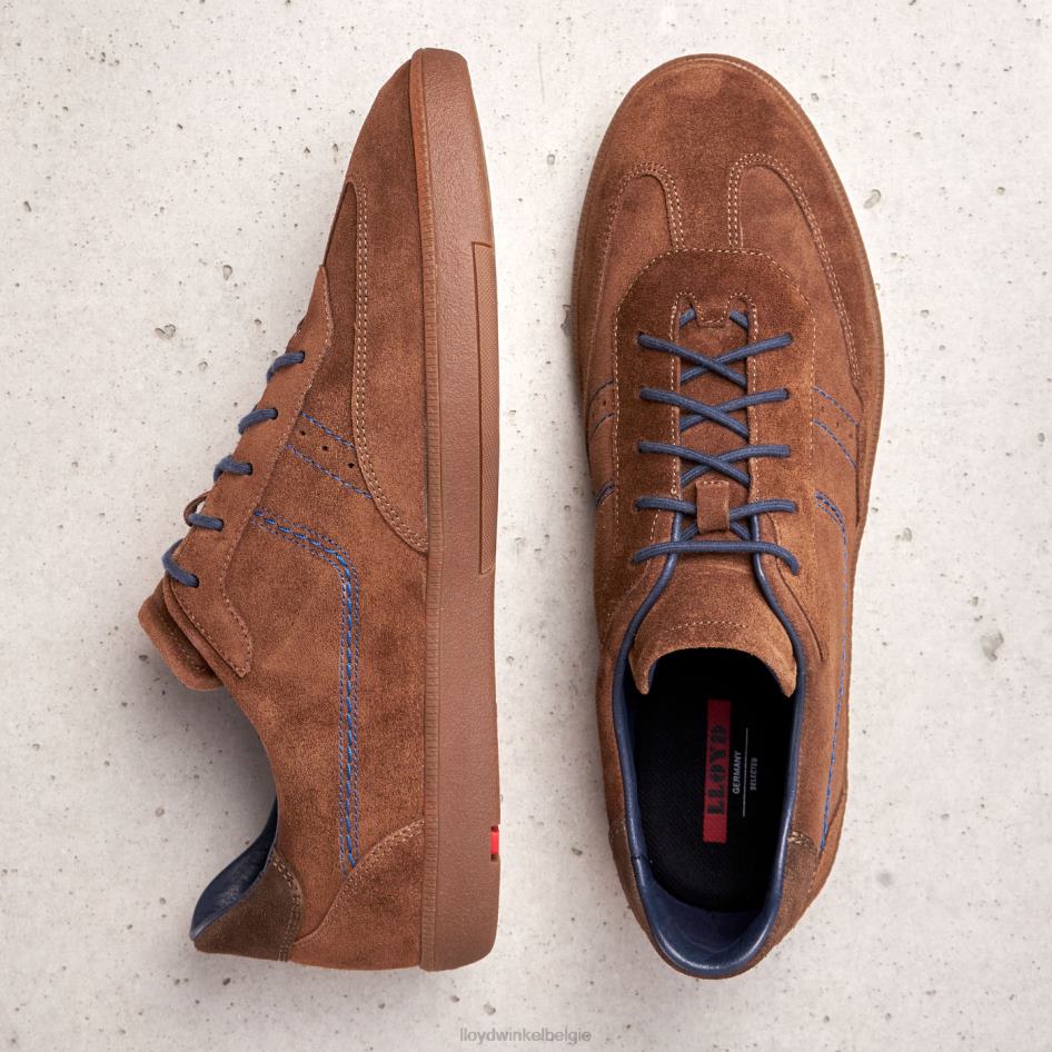 benedetto Heren LLOYD bruin schoenen ZJ6BL426