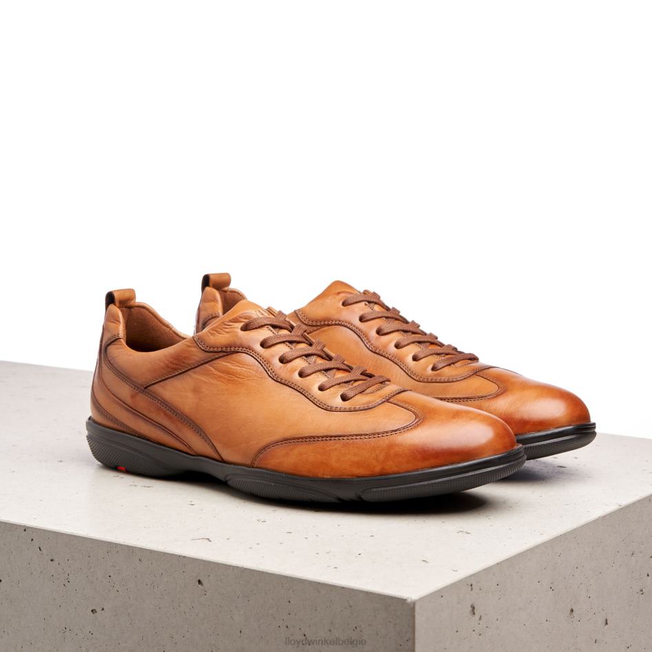 bern Heren LLOYD bruin schoenen ZJ6BL436