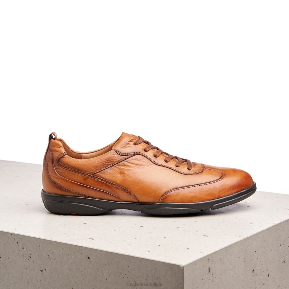 bern Heren LLOYD bruin schoenen ZJ6BL436