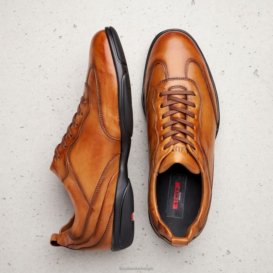 bern Heren LLOYD bruin schoenen ZJ6BL436