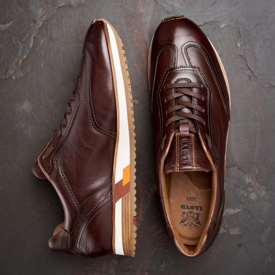 blaak Heren LLOYD bruin schoenen ZJ6BL325