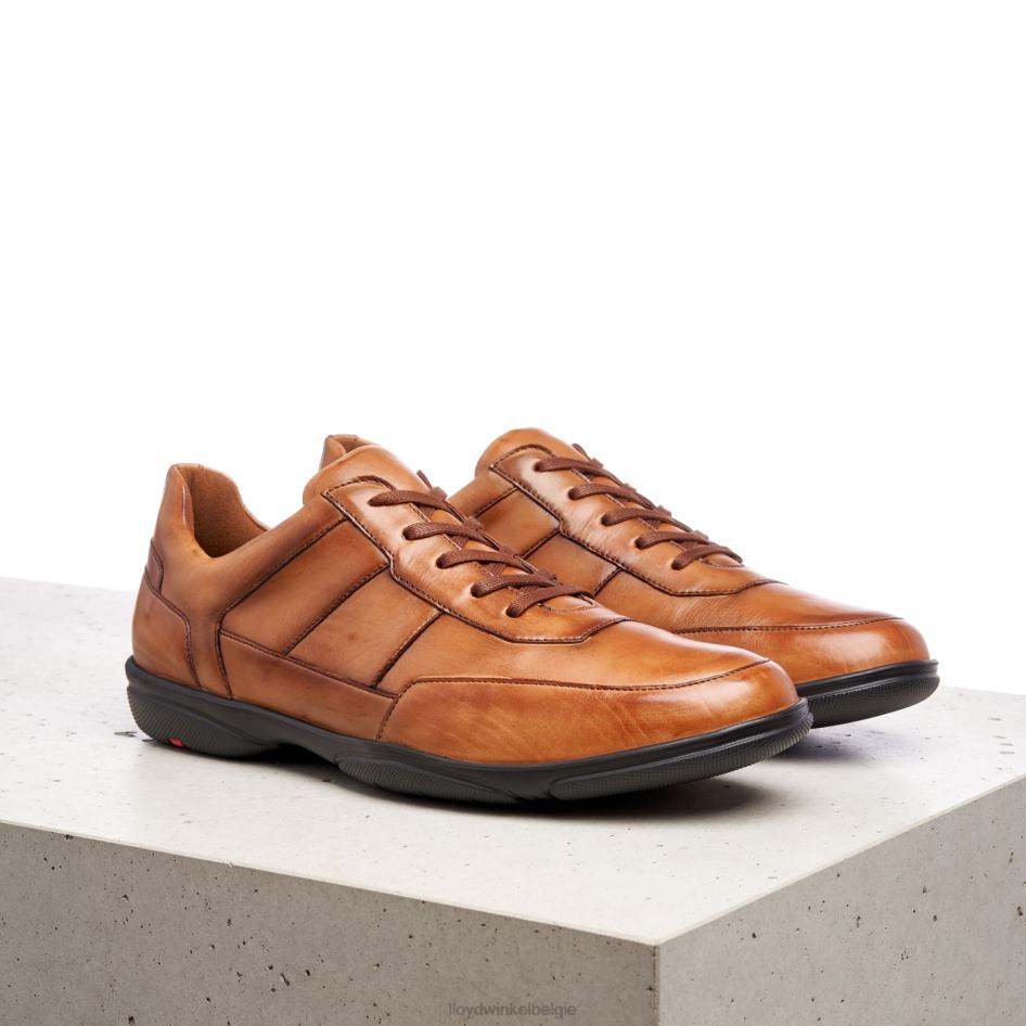 bloei Heren LLOYD bruin schoenen ZJ6BL375
