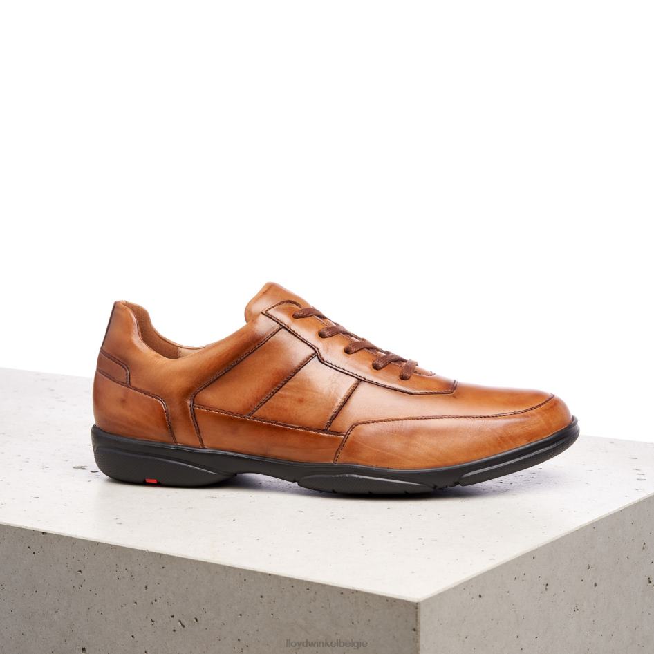 bloei Heren LLOYD bruin schoenen ZJ6BL375