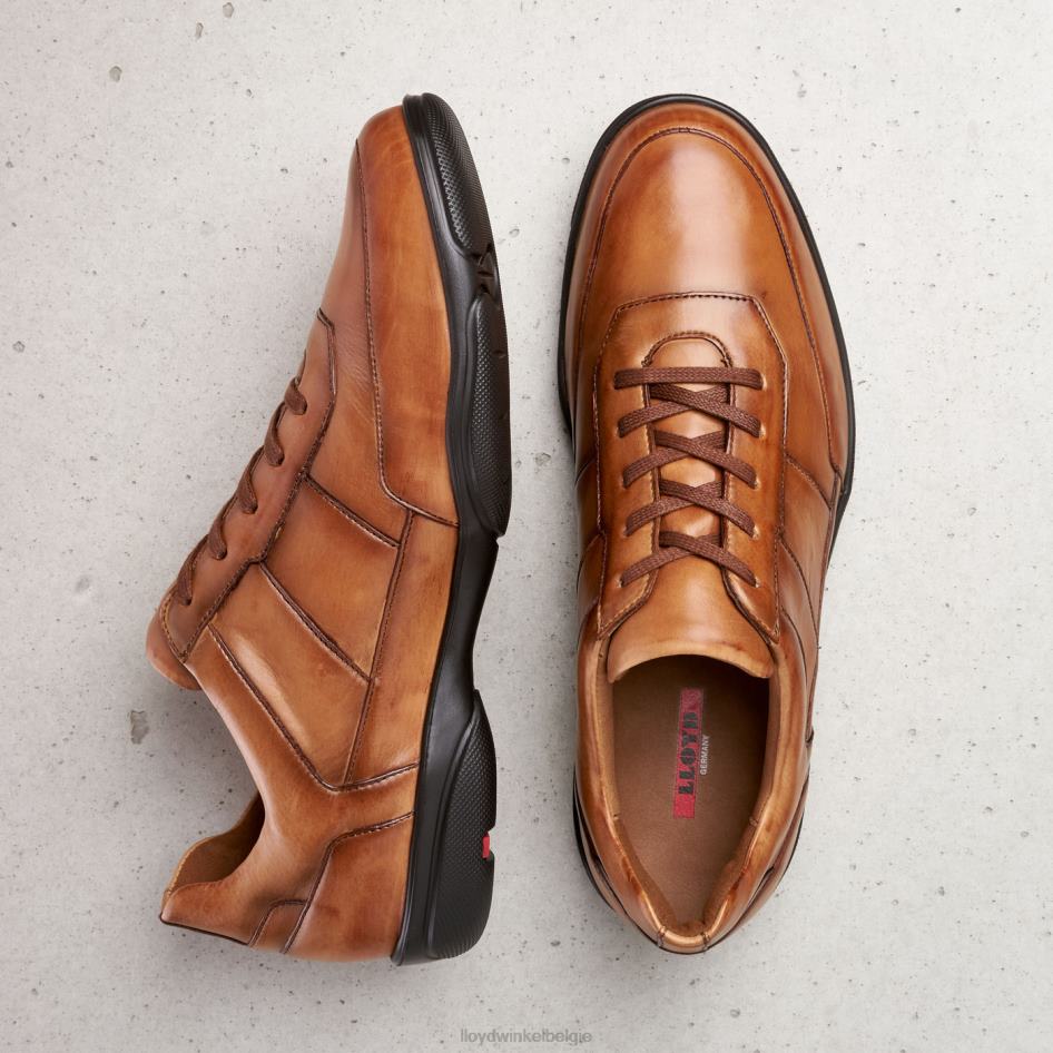 bloei Heren LLOYD bruin schoenen ZJ6BL375