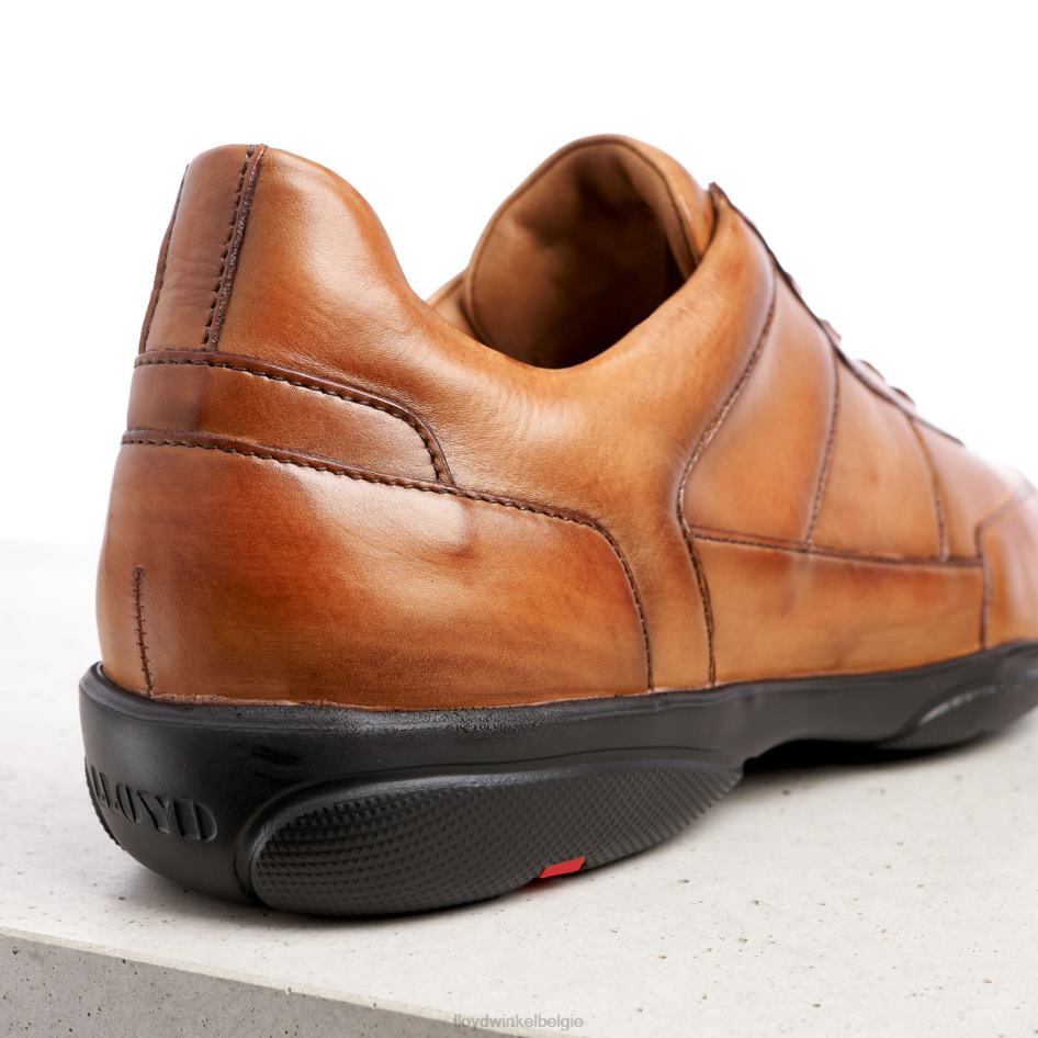 bloei Heren LLOYD bruin schoenen ZJ6BL375