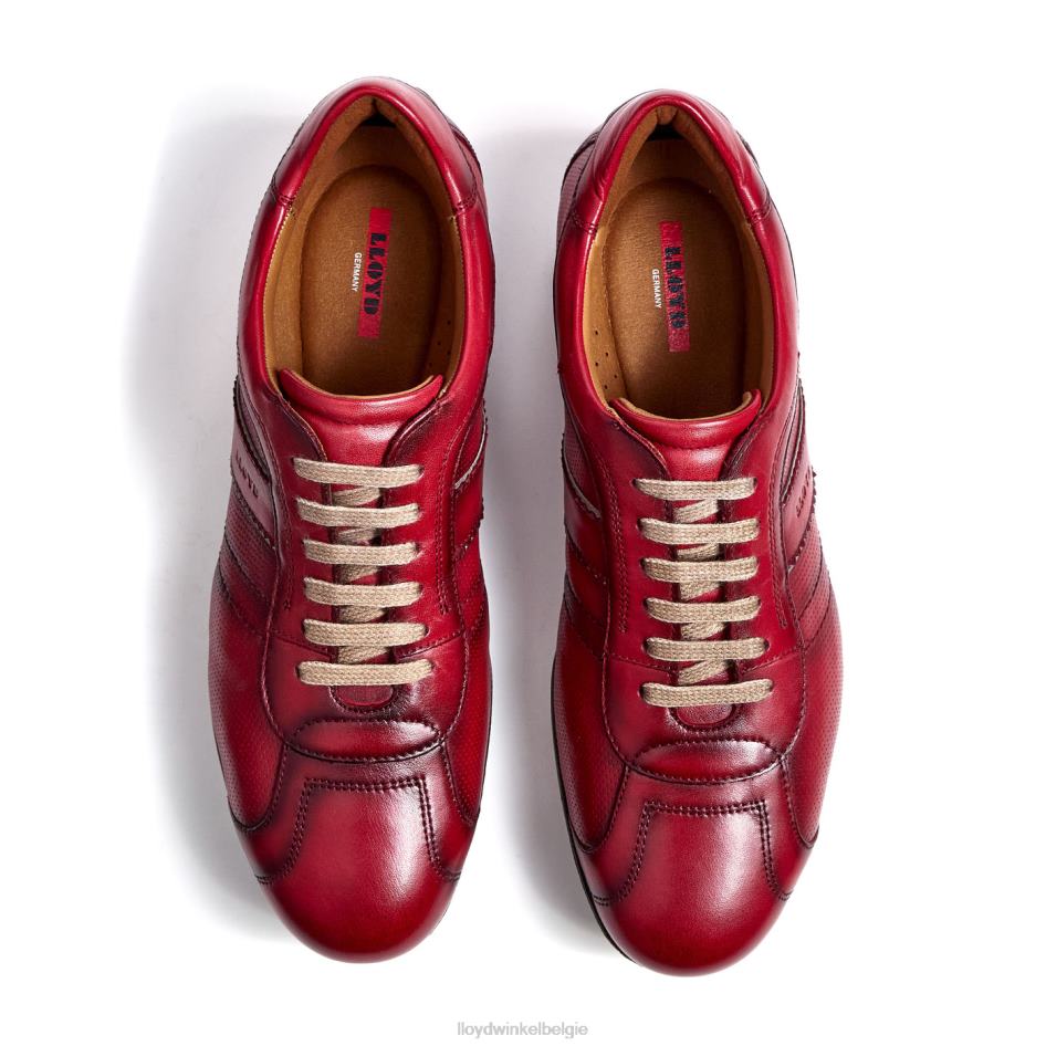 bloot Heren LLOYD rood schoenen ZJ6BL403