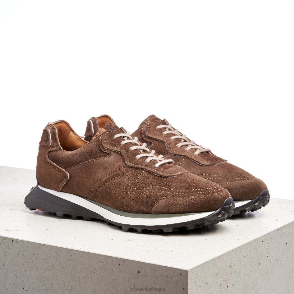 brent Heren LLOYD bruin schoenen ZJ6BL408