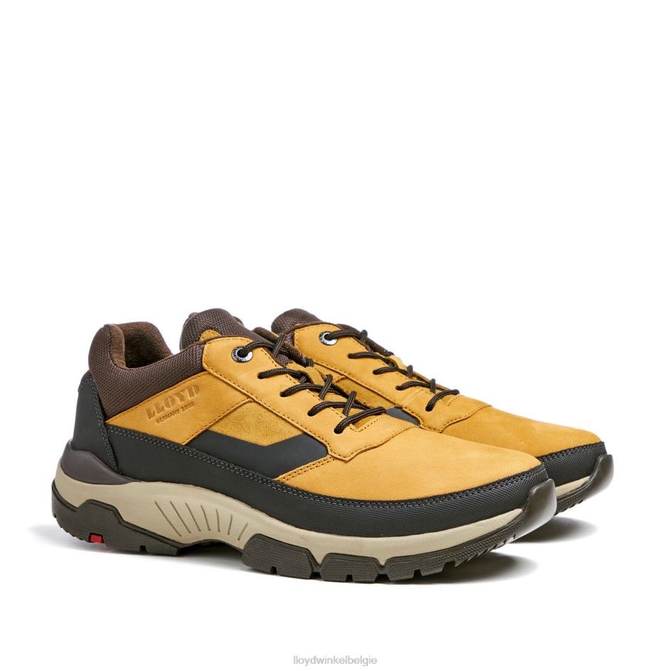 ebe Heren LLOYD bruin schoenen ZJ6BL295