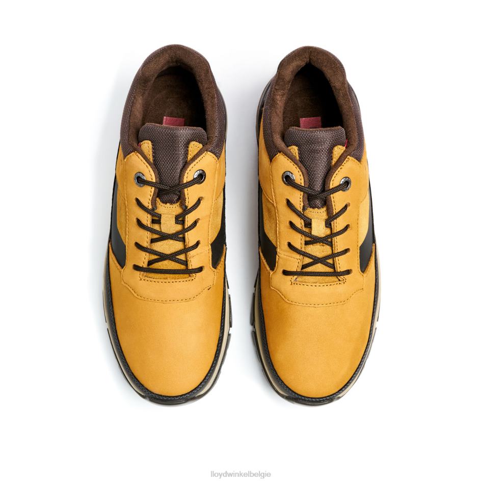 ebe Heren LLOYD bruin schoenen ZJ6BL295