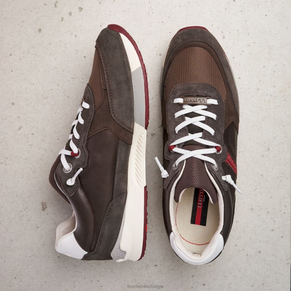 egidi Heren LLOYD bruin schoenen ZJ6BL432