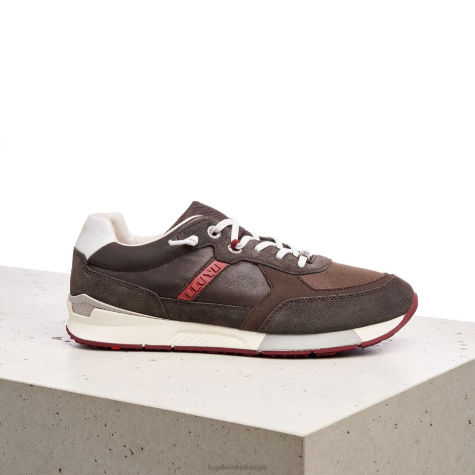 egidi Heren LLOYD bruin schoenen ZJ6BL432