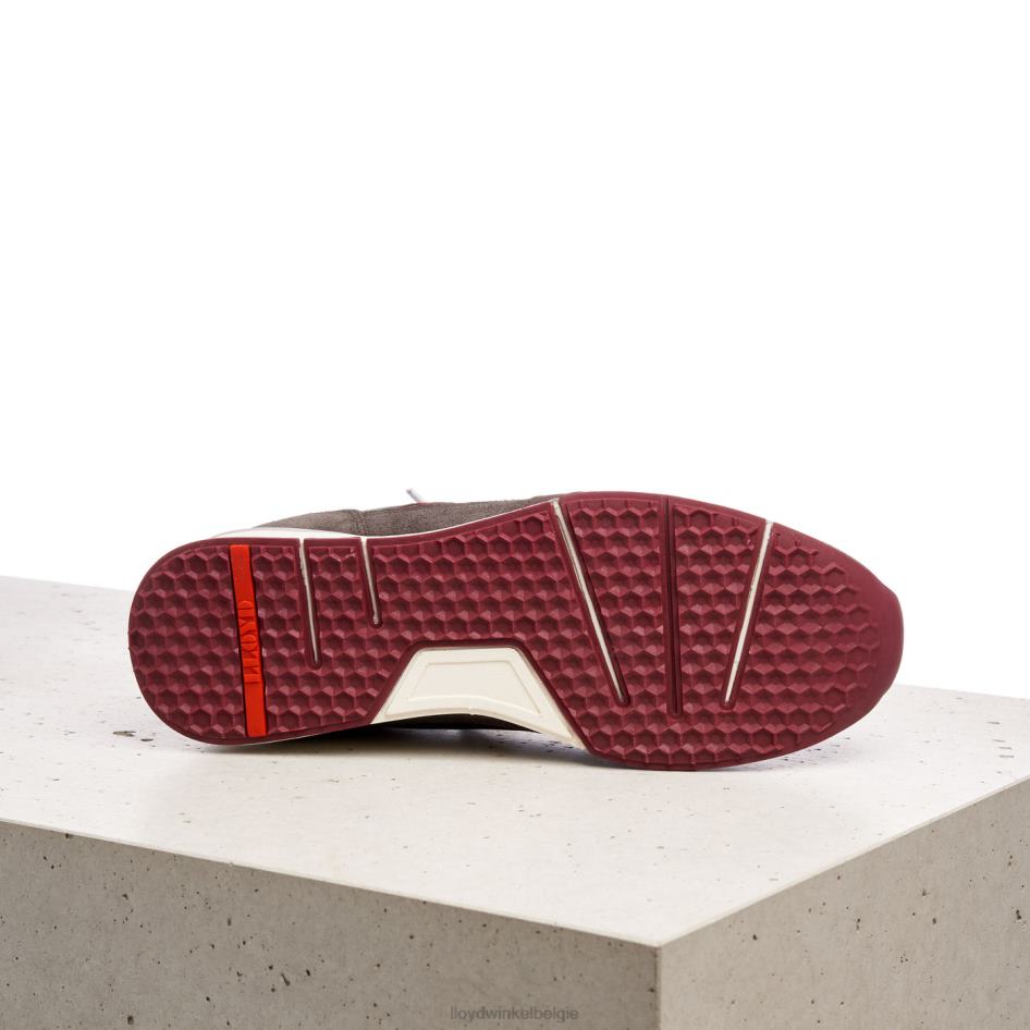 egidi Heren LLOYD bruin schoenen ZJ6BL432