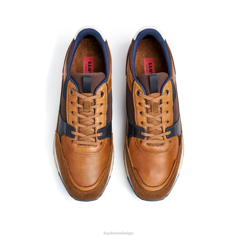 eiron Heren LLOYD bruin schoenen ZJ6BL293