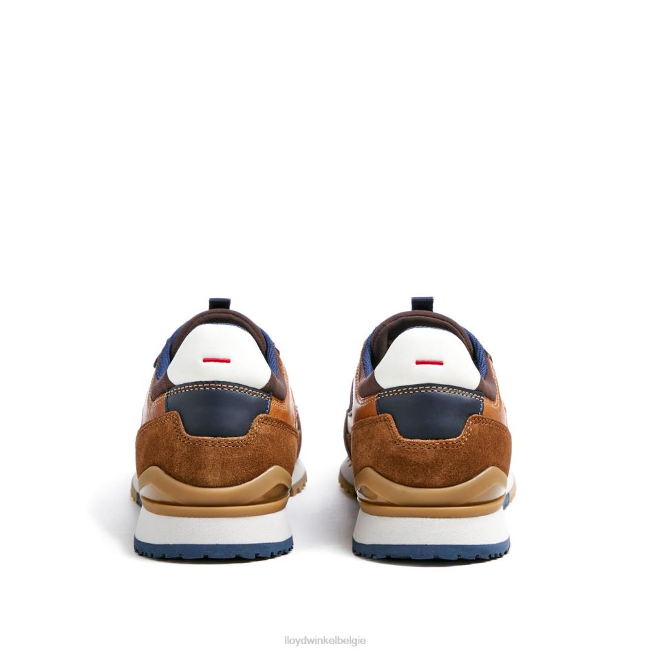 eiron Heren LLOYD bruin schoenen ZJ6BL293