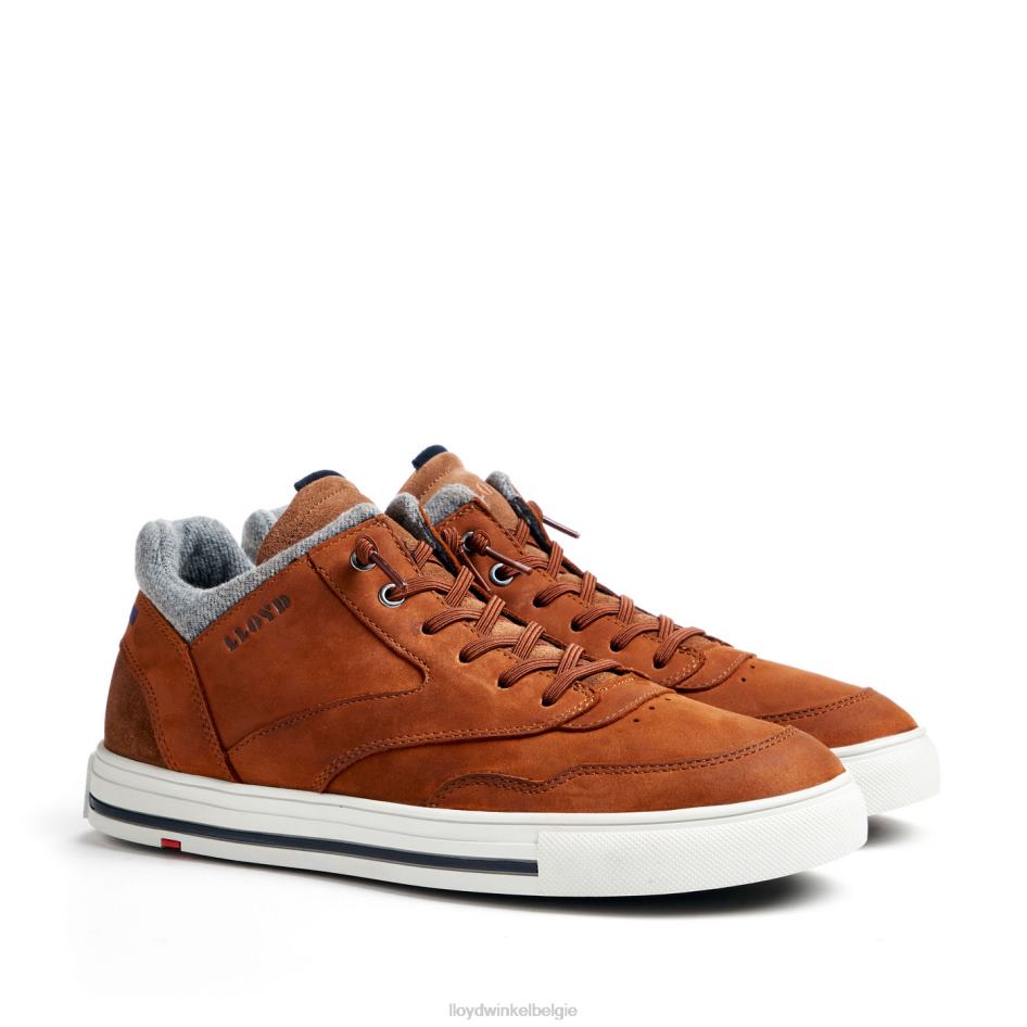 ellison Heren LLOYD bruin schoenen ZJ6BL316