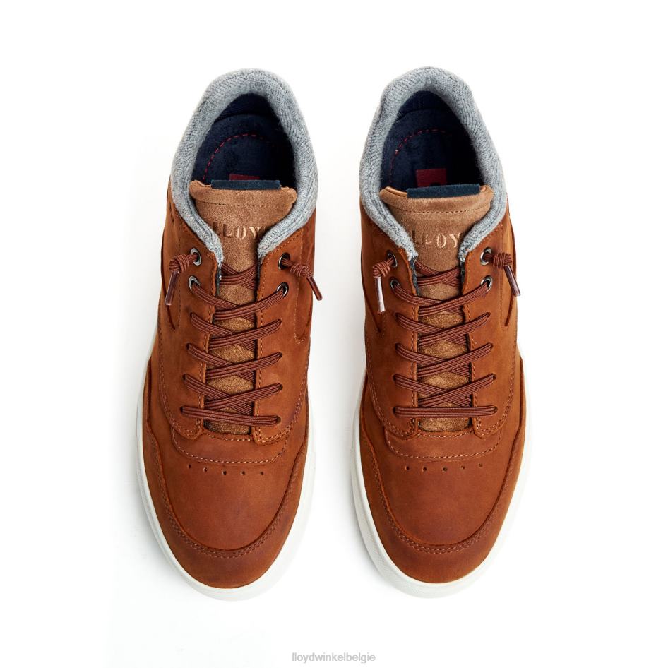 ellison Heren LLOYD bruin schoenen ZJ6BL316